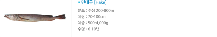 δ뱸 [Hake]  :  200-800m ü : 70-100cm ü : 500-4,000g  : 6-10